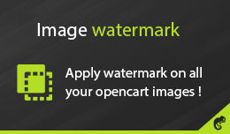 Image Watermark Image Watermark